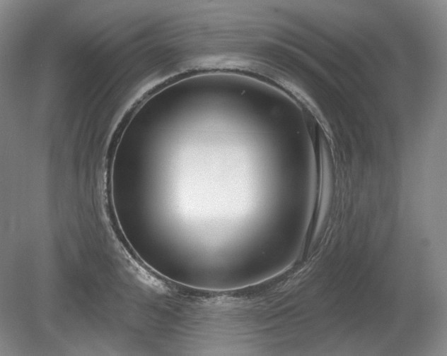 X0000079580992200612081531