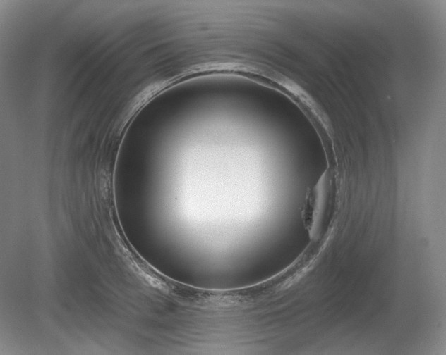 X0000079580993200612081531