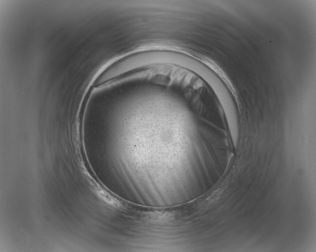 X0000079580996200612081530