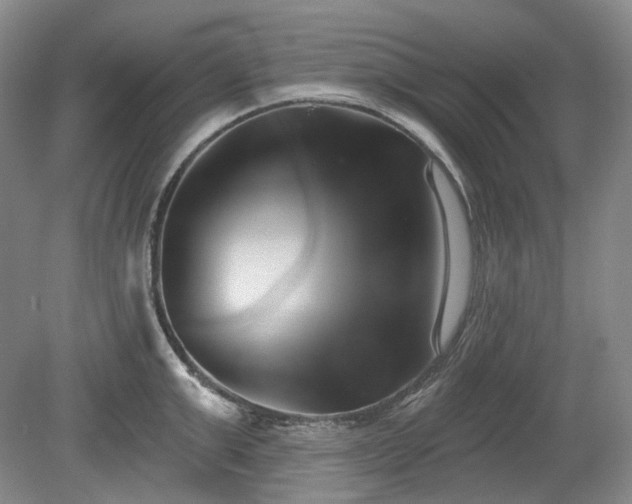 X0000079580999200612081530