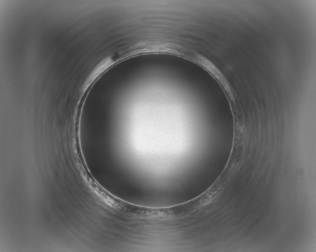 X0000079581002200612081530