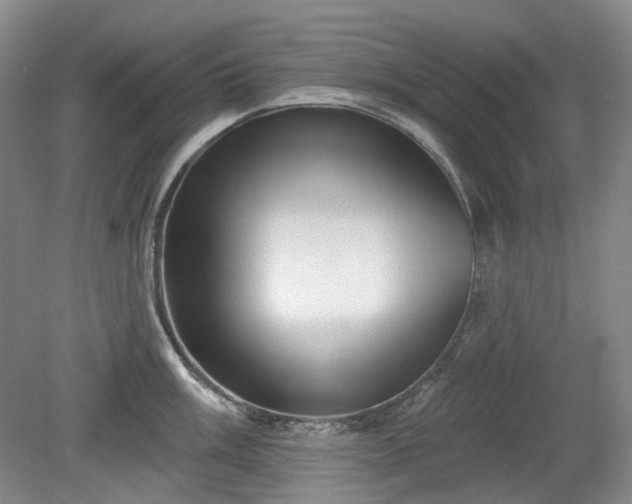 X0000079581003200612081530