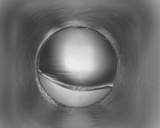 X0000079581008200612081530