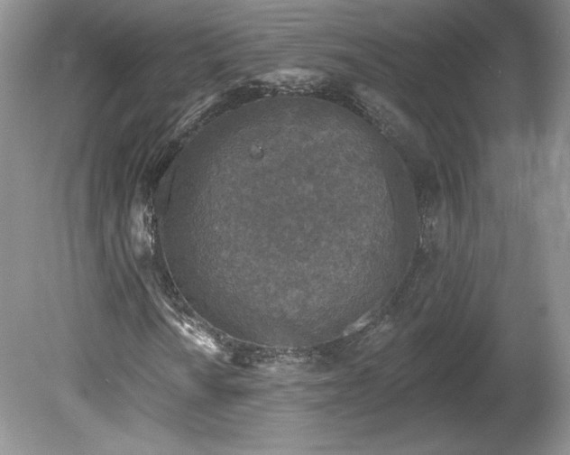 X0000079581010200612081529