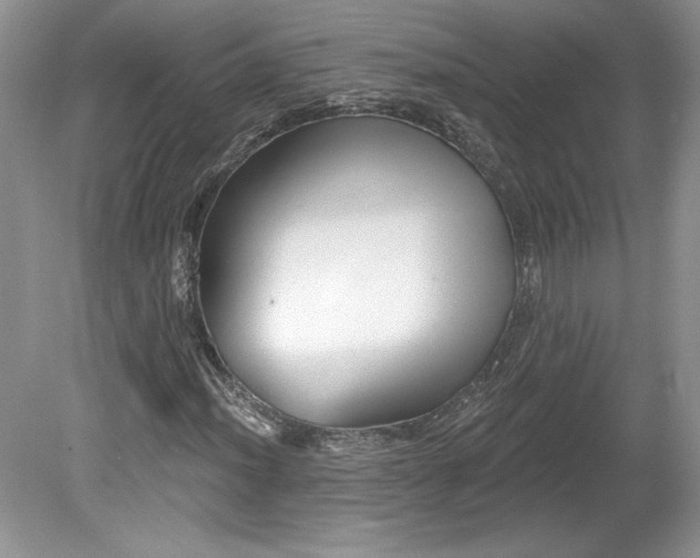 X0000079581012200612081530