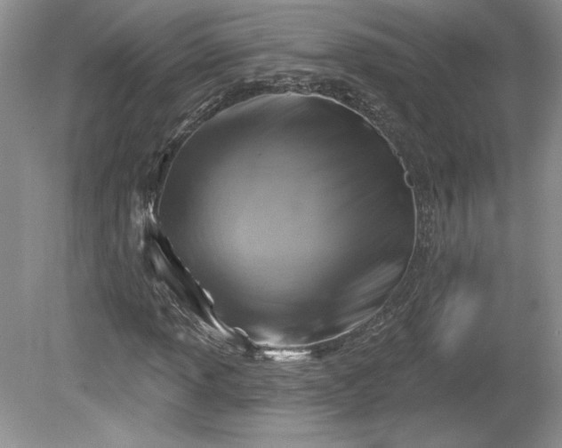 X0000079581013200612081530