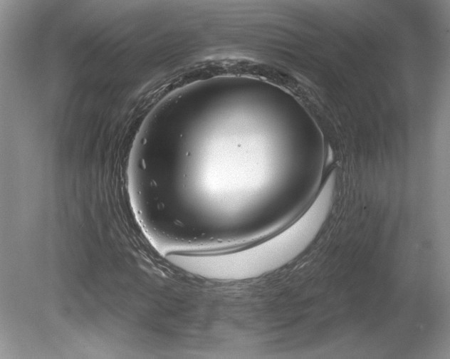 X0000079581014200612081530