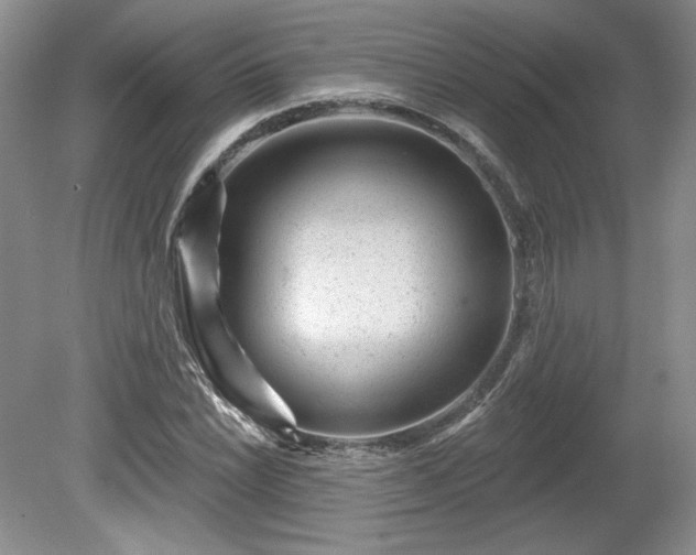 X0000079581022200612081530