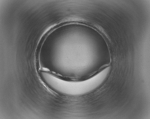 X0000079581024200612081530