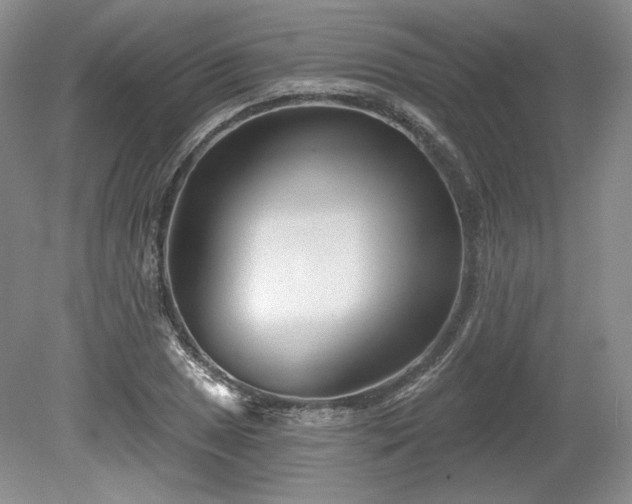 X0000079581025200612081530