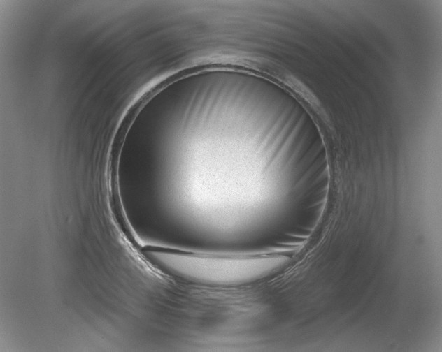 X0000079581028200612081530