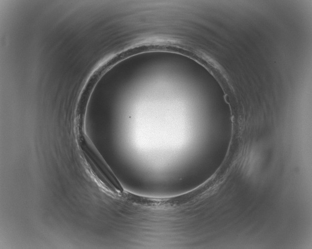 X0000079581029200612081530