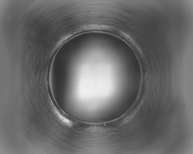 X0000079581033200612081530