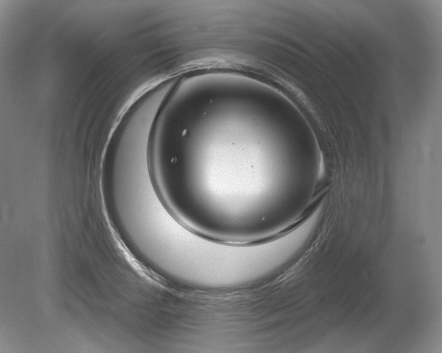 X0000079581034200612081530