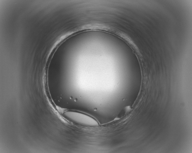 X0000079581040200612081530
