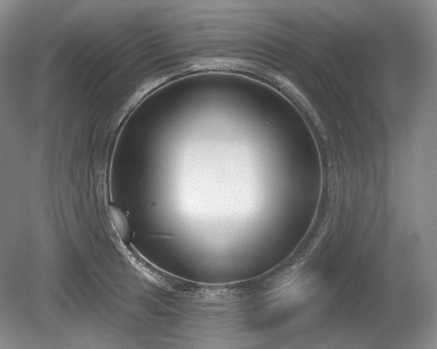X0000079581041200612081530