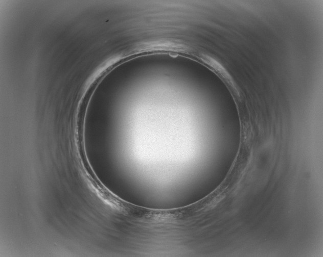 X0000079581043200612081530