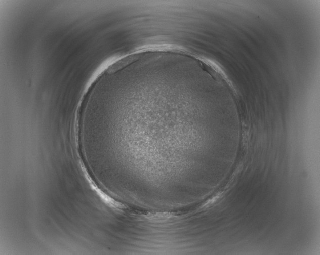 X0000079581046200612081530