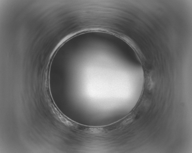 X0000079581052200612081530