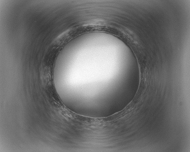 X0000079581062200612081529