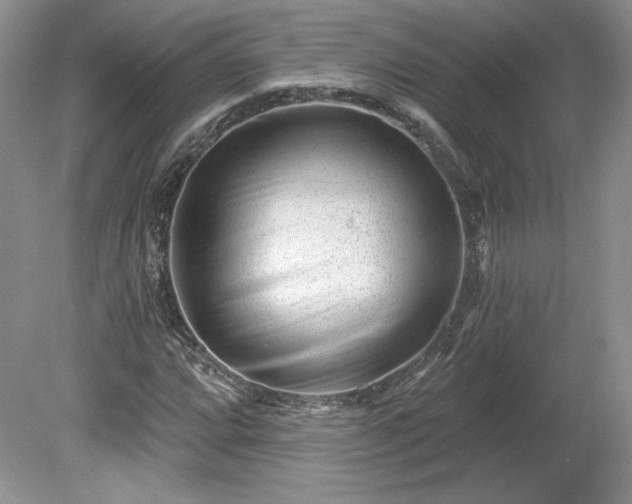 X0000079581064200612081529