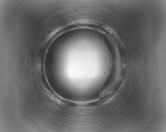 X0000079581065200612081529