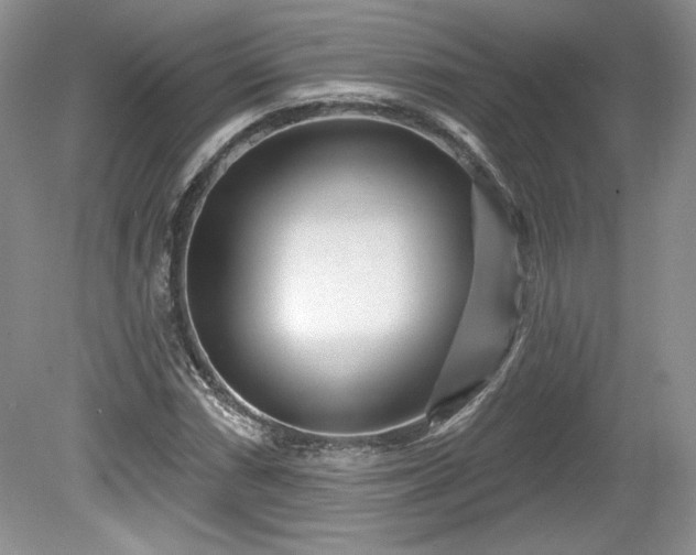 X0000079581066200612081529