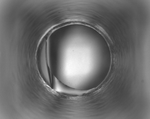 X0000079581068200612081529