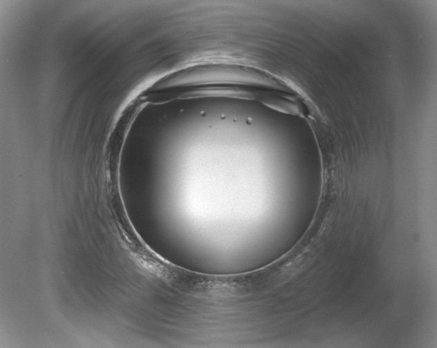 X0000079581070200612081529