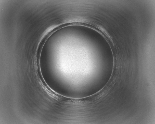 X0000079581072200612081529