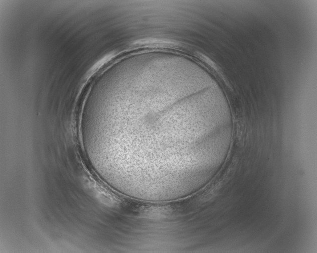 X0000079581074200612081529