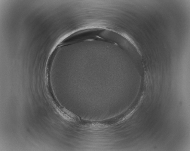 X0000079581077200612081529