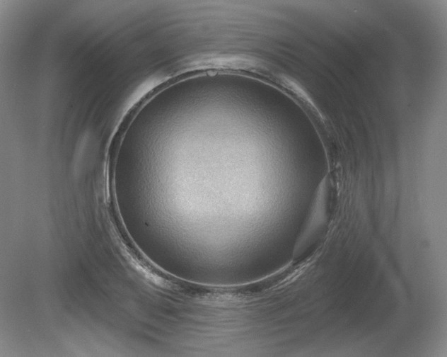 X0000079581079200612081529