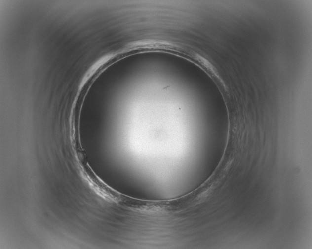 X0000079581082200612081529