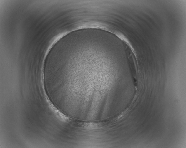 X0000079581088200612081529