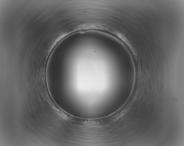 X0000079581089200612081529