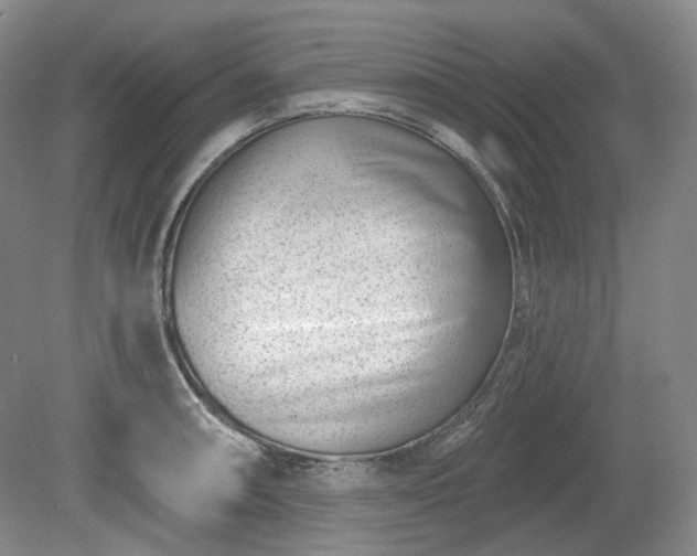 X0000079581090200612081529