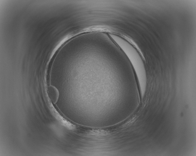 X0000079581091200612081529