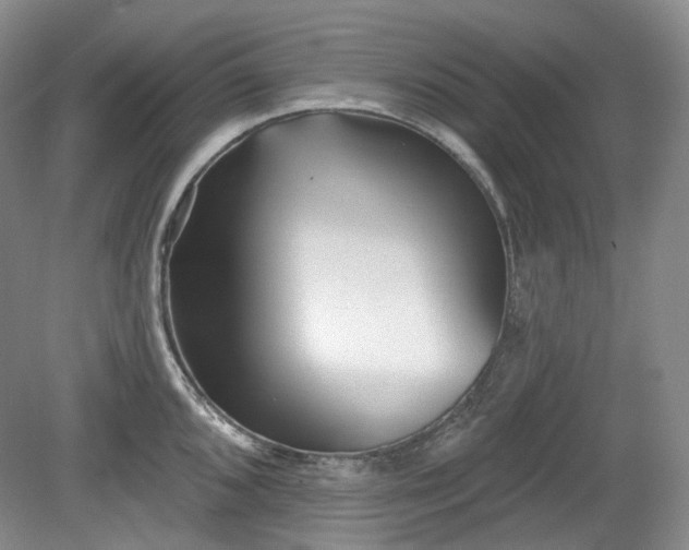 X0000079581096200612081529