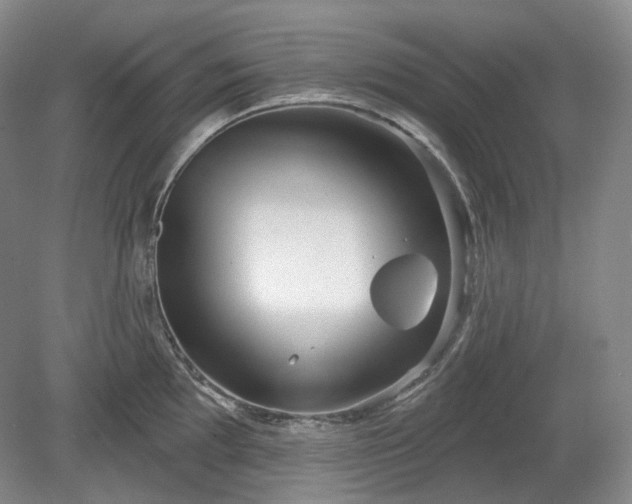 X0000079581097200612081529