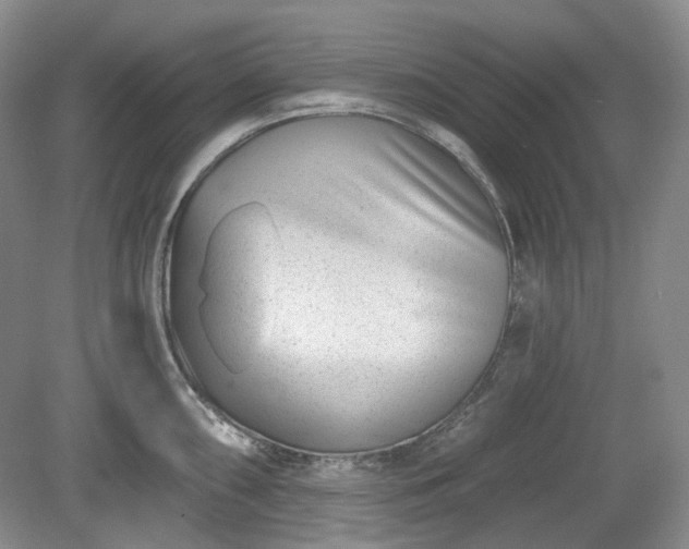 X0000079581098200612081529