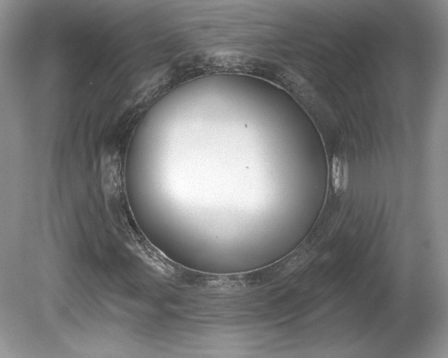 X0000079581107200612081528