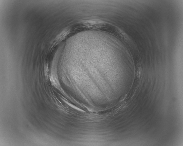 X0000079581108200612081528