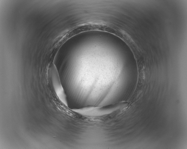 X0000079581110200612081528