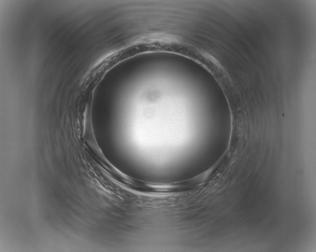 X0000079581112200612081528