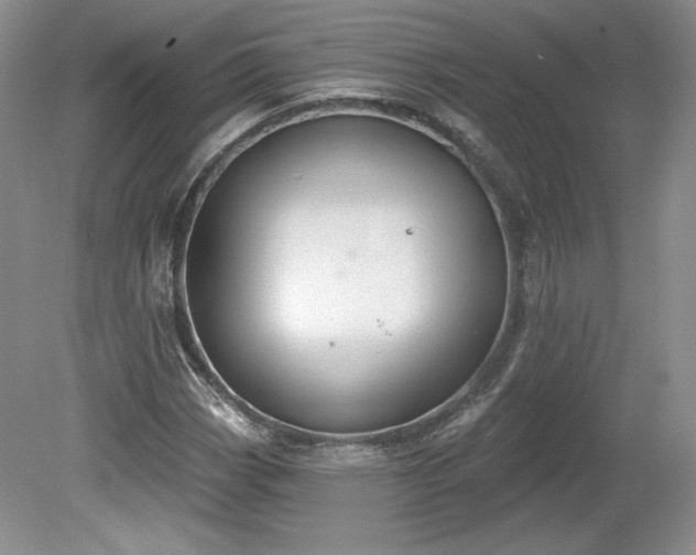 X0000079581113200612081528