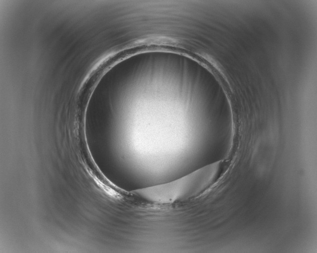 X0000079581115200612081528
