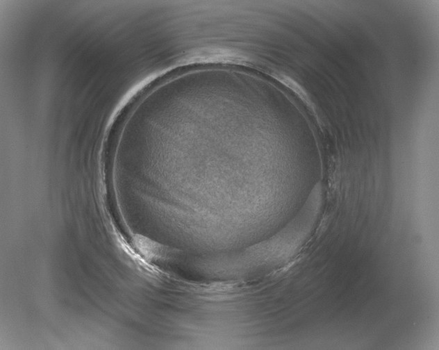 X0000079581120200612081528