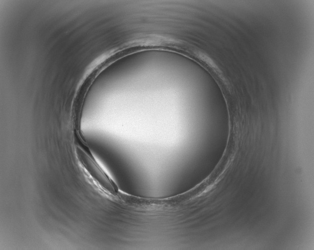 X0000079581122200612081528