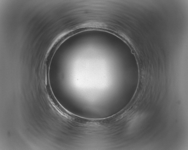 X0000079581123200612081528